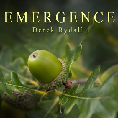 Emergence Lib/E: Seven Steps for Radical Life Change by Rydall, Derek