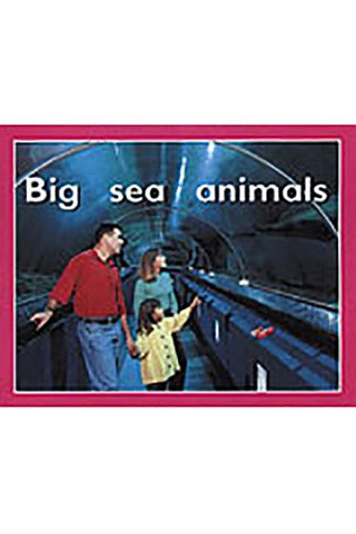 Big Sea Animals: Individual Student Edition Magenta (Level 2) by Rigby