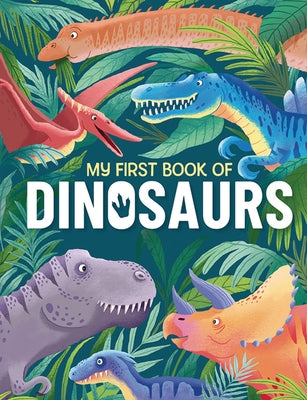 My First Book of Dinosaurs by Castro Naranjo, Andrea