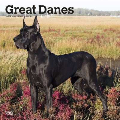 Great Danes 2024 Square by Browntrout