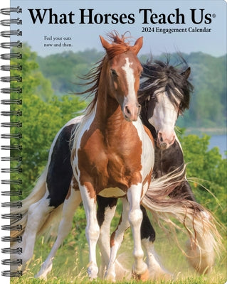 What Horses Teach Us 2024 6.5 X 8.5 Engagement Calendar by Willow Creek Press