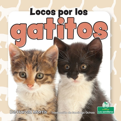 Locos Por Los Gatitos (Crazy about Kittens) by Morris, Harold