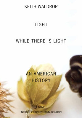 Light While There Is Light: An American History by Waldrop, Keith