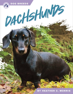 Dachshunds by Morris, Heather C.