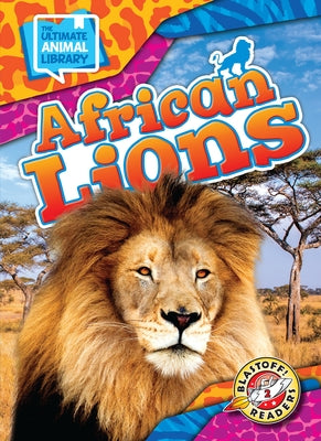 African Lions by Scheffer, Janie