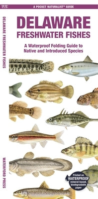 Delaware Freshwater Fishes: A Waterproof Folding Guide to Native and Introduced Species by Morris, Matthew