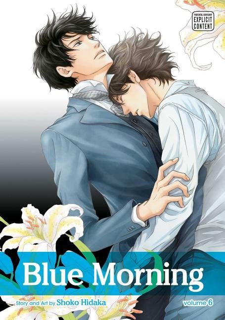 Blue Morning, Vol. 6 by Hidaka, Shoko