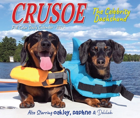 Crusoe the Celebrity Dachshund 2025 6.2 X 5.4 Box Calendar by Ryan Beauchesne