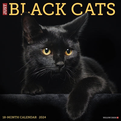 Just Black Cats 2024 12 X 12 Wall Calendar by Willow Creek Press