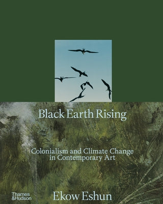 Black Earth Rising: Colonialism and Climate Change in Contemporary Art by Eshun, Ekow