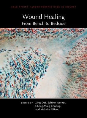 Wound Healing: From Bench to Bedside by Dai, Xing