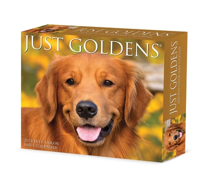 Goldens 2024 6.2 X 5.4 Box Calendar by Willow Creek Press