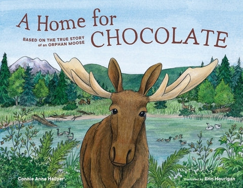 A Home for Chocolate: Based on the True Story of an Orphan Moose by Hellyer, Connie Anne