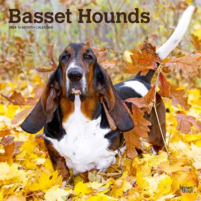 Basset Hounds 2024 Square by Browntrout