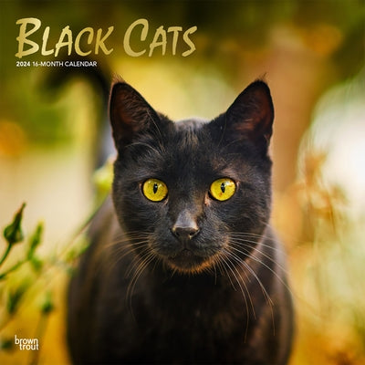 Black Cats 2024 Square Foil by Browntrout