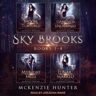 Sky Brooks Lib/E: Books 1-4 Box Set by Marie, Jorjeana