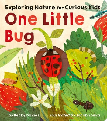 One Little Bug: Exploring Nature for Curious Kids by Davies, Becky