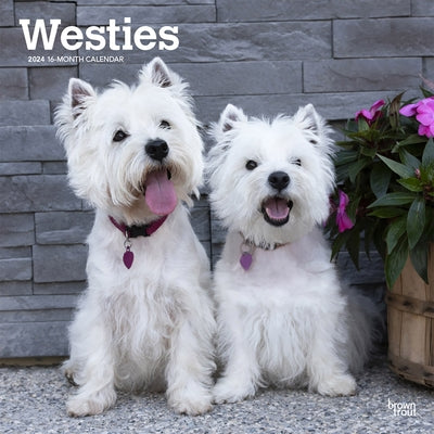 West Highland White Terriers 2024 Square by Browntrout