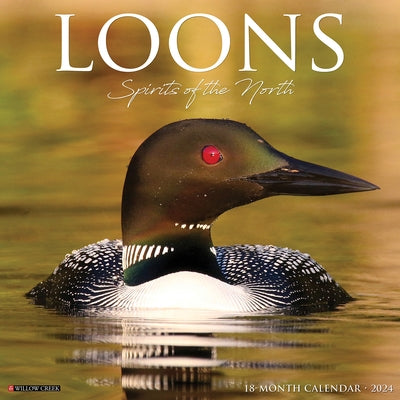 Loons 2024 12 X 12 Wall Calendar by Willow Creek Press
