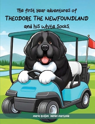 The First Year Adventures Of Theodore The Newfoundland And His White Socks by Karen Martone, Maria Rossini