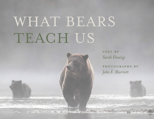 What Bears Teach Us by Elmeligi, Sarah