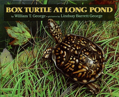 Box Turtle at Long Pond by George, William T.