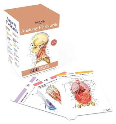 Anatomy Flashcards: 300 Flashcards with Anatomically Precise Drawings and Exhaustive Descriptions by McCann, Stephanie