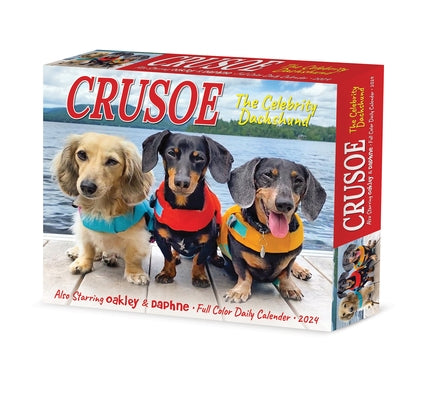 Crusoe the Celebrity Dachshund 2024 6.2 X 5.4 Box Calendar by Ryan Beauchesne