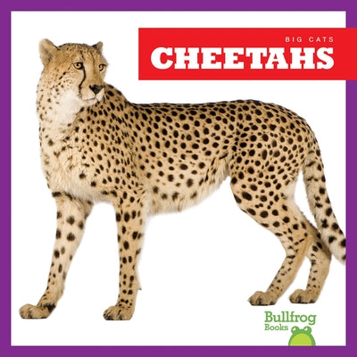 Cheetahs by Brandle, Marie