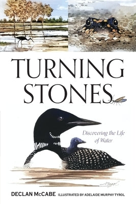 Turning Stones: Discovering the Life of Water by McCabe, Declan