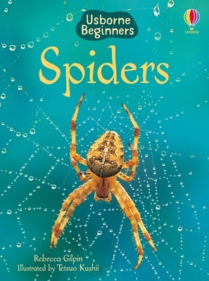 Spiders by Gilpin, Rebecca