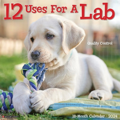 12 Uses for a Lab 2024 12 X 12 Wall Calendar by Willow Creek Press