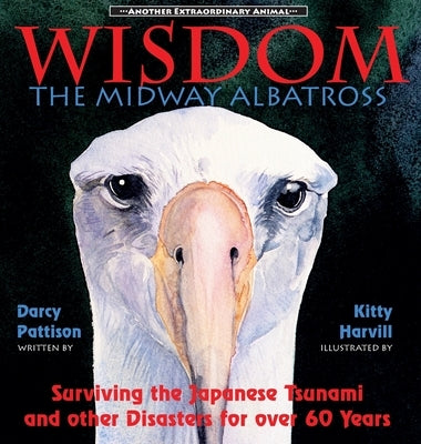 Wisdom, the Midway Albatross: Surviving the Japanese Tsunami and Other Disasters for Over 60 Years by Pattison, Darcy