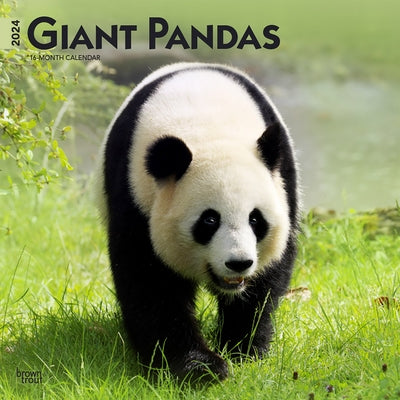 Giant Pandas 2024 Square by Browntrout