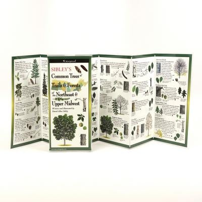 Sibley's Trees of Trails and Forests of the Northeast & Upper Midwest by Sibley, David