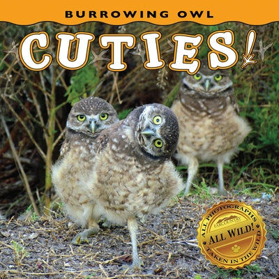 Burrowing Owl Cuties! by Farcountry Press