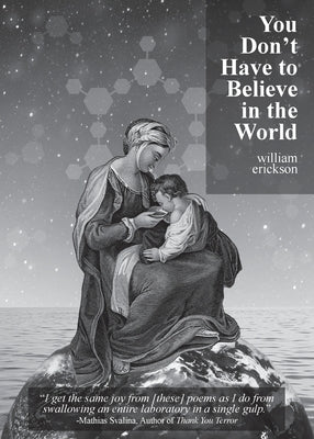 You Don't Have to Believe in the World by Erickson, William