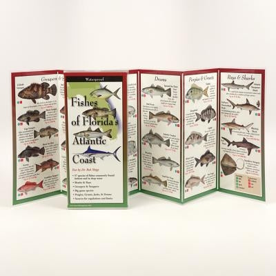 Fishes of Florida's Atlantic Coast by Shipp, Robert