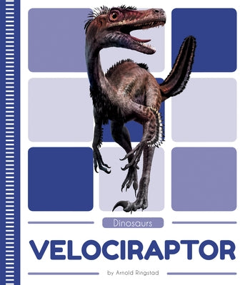 Velociraptor by Ringstad, Arnold