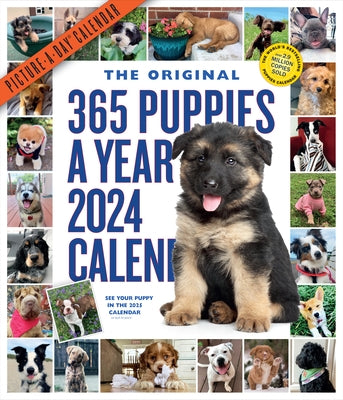 365 Puppies-A-Year Picture-A-Day Wall Calendar 2024: Absolutely Spilling Over with Puppies by Workman Calendars