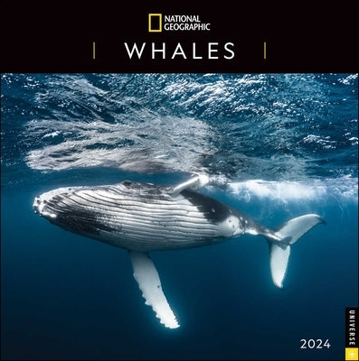 National Geographic: Whales 2024 Wall Calendar by National Geographic