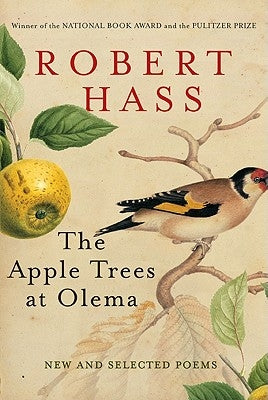 The Apple Trees at Olema by Hass, Robert