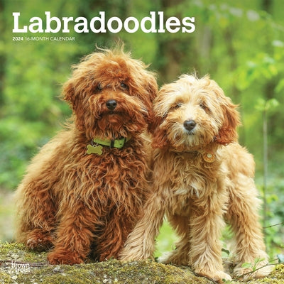 Labradoodles 2024 Square by Browntrout
