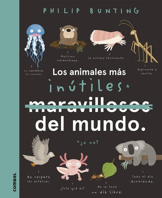 Los Animales Más Inútiles del Mundo by Bunting, Philip