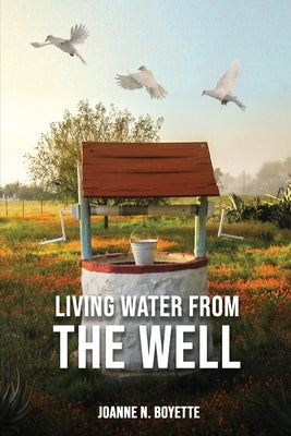 Living Water from the Well by Boyette, Joanne N.