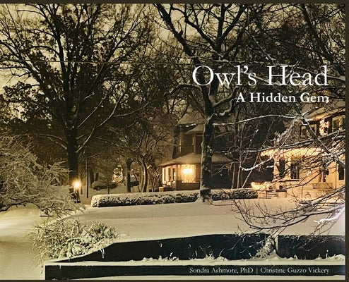 Owl's Head: A Hidden Gem by Ashmore, Sondra