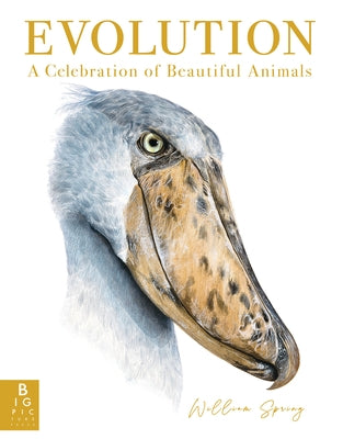 Evolution: A Celebration of Beautiful Animals by Spring, William