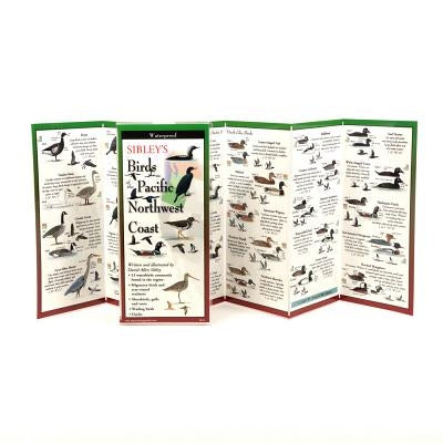 Sibley's Birds of Pacific NW Coast by Sibley, David Allen