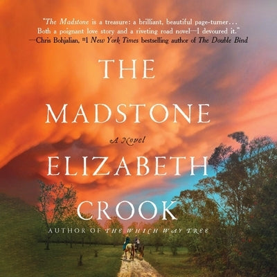 The Madstone by Crook, Elizabeth