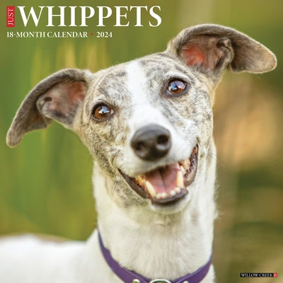 Just Whippets 2024 12 X 12 Wall Calendar by Willow Creek Press